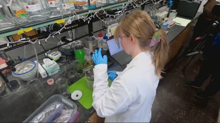 Protective spray may solve problem of wildfire-smoke tainted grapes, OSU says