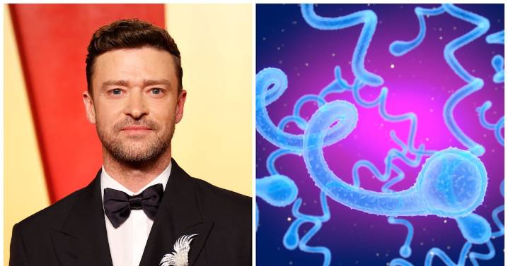 The Truth About Lyme Disease, the Illness Justin Timberlake Was Diagnosed With