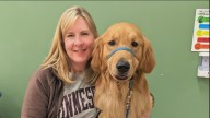 Minnesota voters start process to choose Melissa Hortman's successor