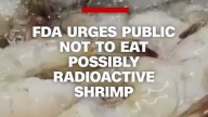 FDA urges public not to eat possibly radioactive shrimp