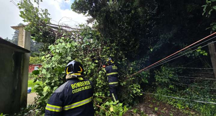 Prevé CDMX lluvias fuertes tras 31 encharcamientos y 14 árboles caídos