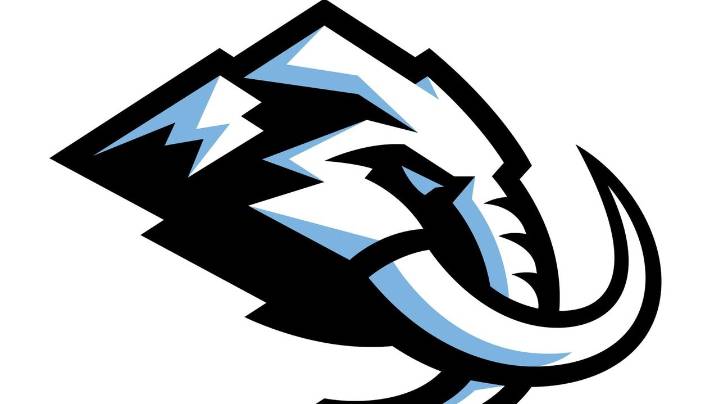 Utah Mammoth files lawsuit in trademark dispute with hockey equipment bag manufacturer