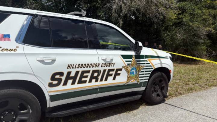 Human remains found in Lutz woods, Hillsborough deputies say