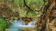 Codorachi, Sonora, un rincón paradisiaco para conectar con la naturaleza