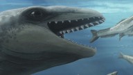 Científicos descubren una ballena antigua con cara de Pokémon y mordida de depredador