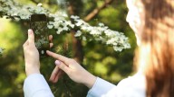 Phones and other tech can enhance teens’ connection to nature