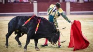 Más firmeza que lucimiento en una tarde de leña y voluntad