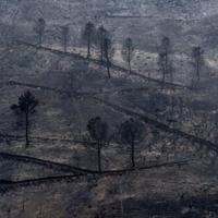 Winds complicate wildfire battle in Spain