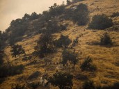 Firefighters try to corral California wildfire amid new risk