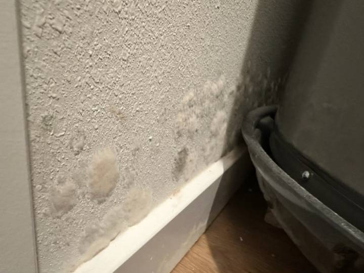 Oklahoma City woman says landlord ignoring mold infestation, threatened eviction after complaints