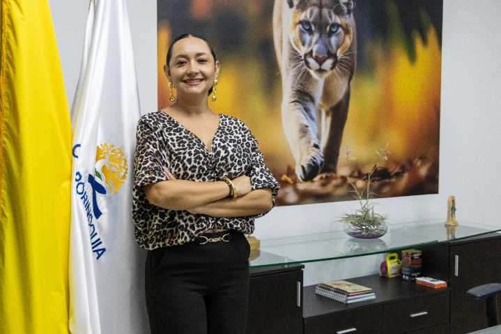 Consejo de Estado ratifica la legalidad en la elección de Diana Carolina Mariño Mondragón como Directora de Corporinoquia