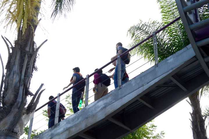 El 47.7% de los jóvenes no realizan actividad económica