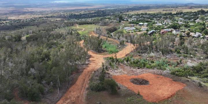 Firebreak around the burn zone aims to protect Upcountry Maui from future wildfires