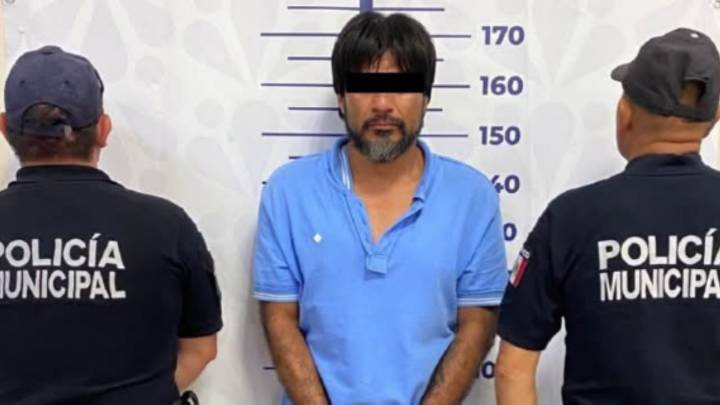 Perrita de 7 años muere al defender a su dueña que iba a ser acuchillada por su pareja, en Puebla