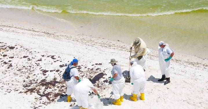 ‘This bill protects our precious waters’: How a Florida environmental group scored a win against Big Oil