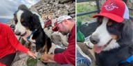 Chaffee County Search and Rescue helps two pups in distress on Mount Princeton