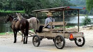 Discover Your Mennonite Nickname