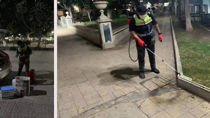 Tehuacán: fumigan Parque Benito Juárez por ratas debido a remodelación