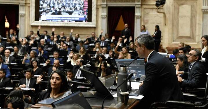 Cómo votaron los diputados la Emergencia en Discapacidad: 172 votos marcaron la derrota del veto de Javier Milei