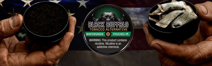Black Buffalo Is The Future Of Dip, Honoring The Past