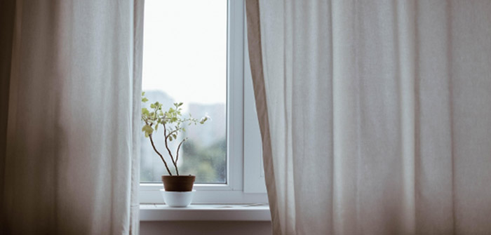How to Create an Indoor Jungle Aesthetic