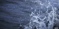 Drowning reported in Old Lyme