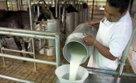 Crisis en histórica planta láctea: quedó bajo bajo control de sus trabajadores