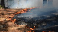 Demócratas condenan el arresto migratorio de 2 bomberos que apagaban incendio en Washington