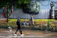Woman charged with hate crime after Pilsen mural vandalized
