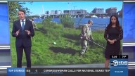 National Guardsmen Sent In For DC Landscaping Duty