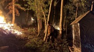 Gobernador Spencer Cox declara estado de emergencia por incendios forestales en Utah