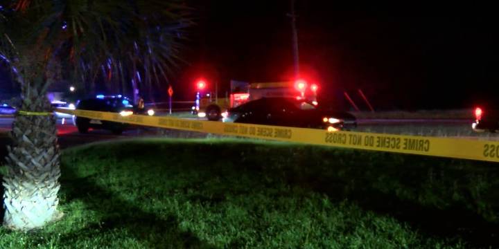 Pedestrian killed after being hit by car on Ogeechee Road