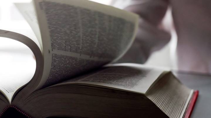 Skibidi, tradwife and delulu added to Cambridge Dictionary
