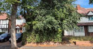 Birmingham house buried in trees for nearly 20 years up for sale