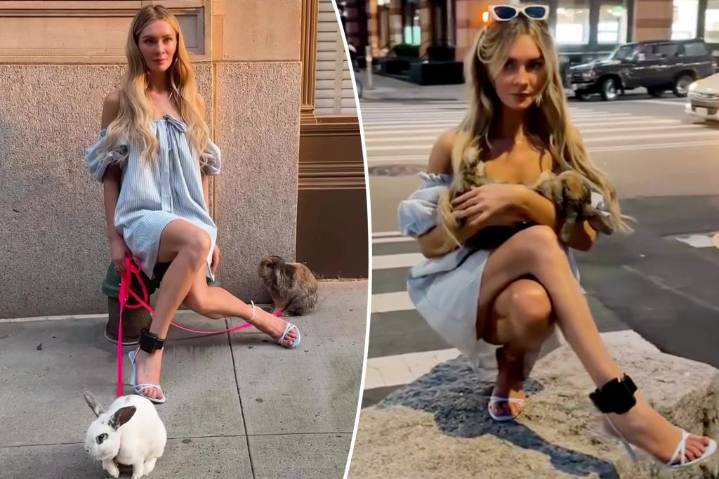 Exclusive | Anna Delvey denies ditching bunnies in Brooklyn Park