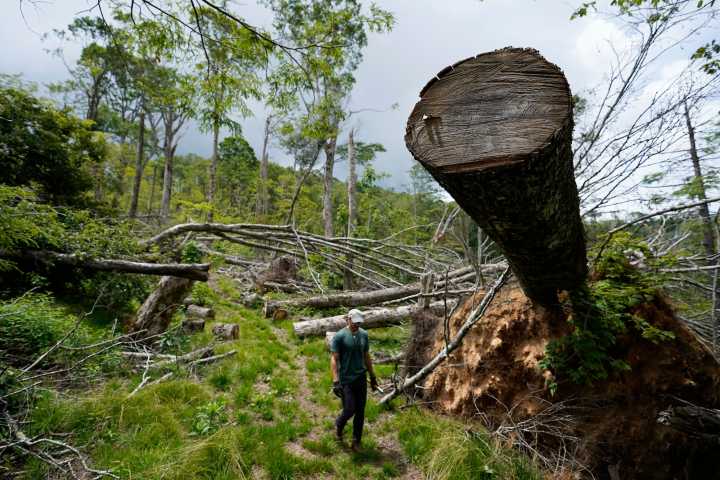 Volunteers repair damaged parts of Appalachian Trail by hand almost a year after Helene