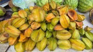 En la Brecha Huasteca se produce carambola todo el año: fruta orgánica de traspatio que llega a los rodantes