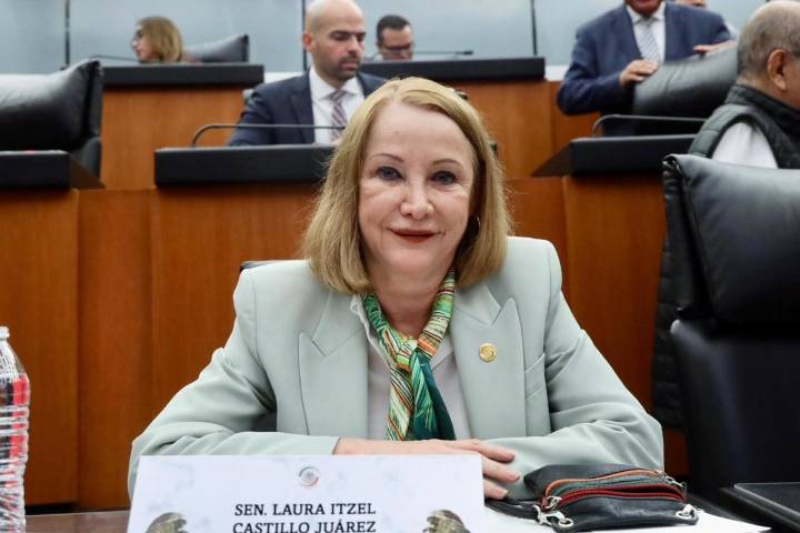 Anaya llama a Laura Itzel Castillo a presidir el Senado como árbitro y no como partido