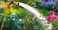 Cranberry Township asking people to conserve water amid dry stretch of weather in the Pittsburgh area