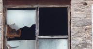 Torbay parents warned as kids risk their lives by urban exploring
