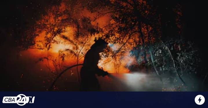 Los incendios de este año arrasan ya más de 390.000 hectáreas en España