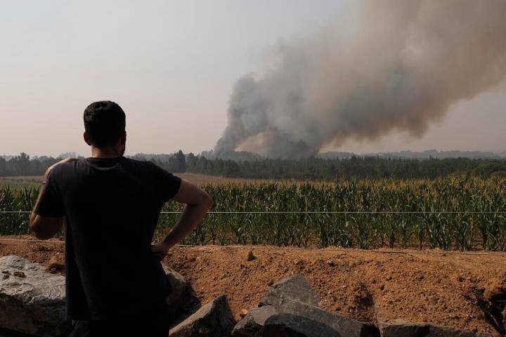 Se elevan a 16 los incendios activos en nivel de gravedad 2