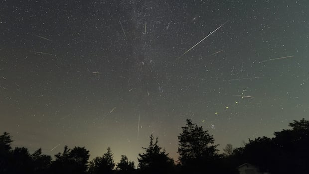 Attention stargazers! It's time for one of the best meteor showers of the year
