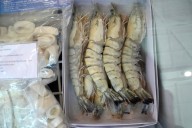 Walmart retira del mercado camarones Great Value ante riesgo de contaminación radiactiva