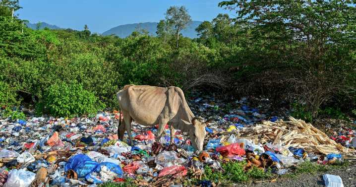 Plastic pollution treaty stalled as Geneva talks end without deal