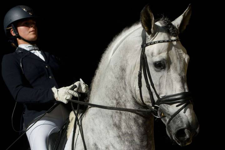Una modificación genética fue clave para que los caballos fueran aptos para la monta – NotiCel 