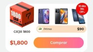 VIVABOX: caen leoneses en estafa millonaria, te contamos la historia