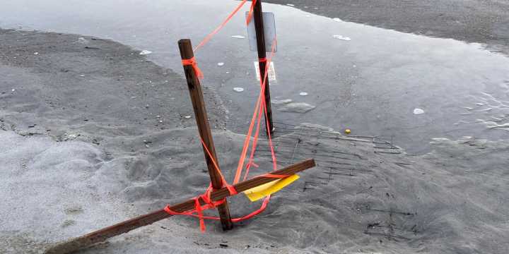 Hurricane Erin's high tides impact sea turtle nests along East Coast beaches