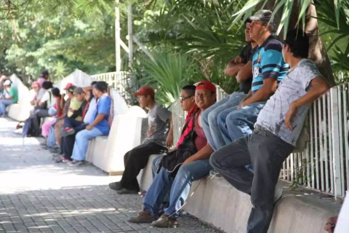 Desempleo en México se ubicó en 2.8% en julio subiendo ligeramente frente a junio, reporta Inegi