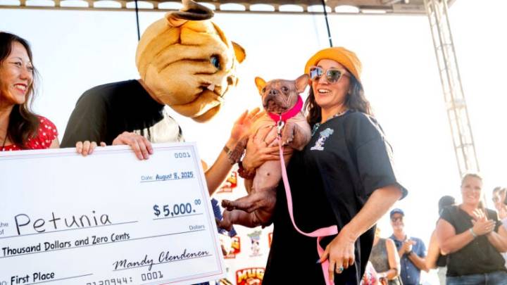 Petunia wins the Ugliest Dog Contest by being loved, not by looking perfect